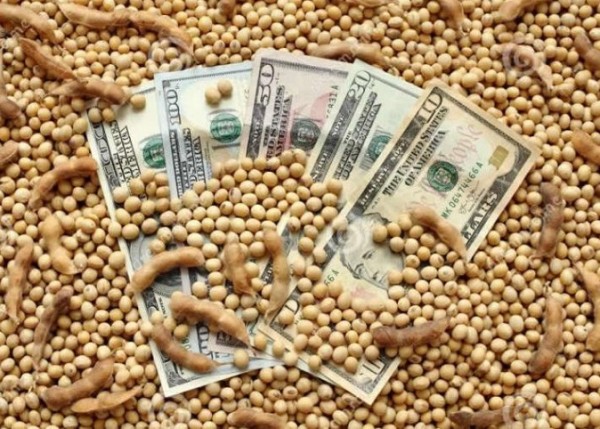 هزینه پنهان تعرفه‌ها / چگونه یک تصمیم سیاسی زنجیره جهانی سویا را برای همیشه تغییر داد