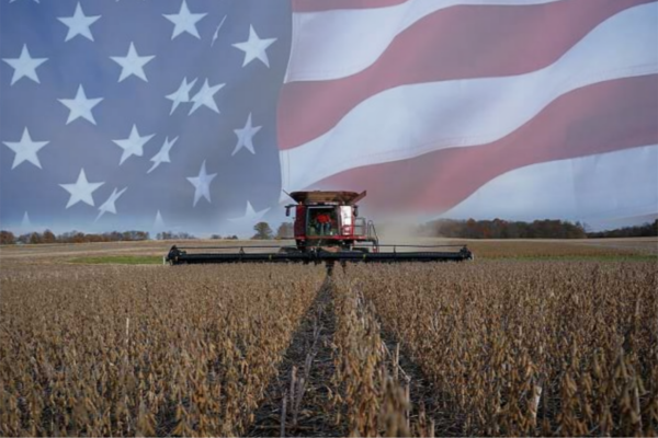 کشاورزی آمریکا در تله جنگ تجاری ۲۰۲۵ / وقتی سویا، قربانی رقابت ژئوپلیتیک می‌شود